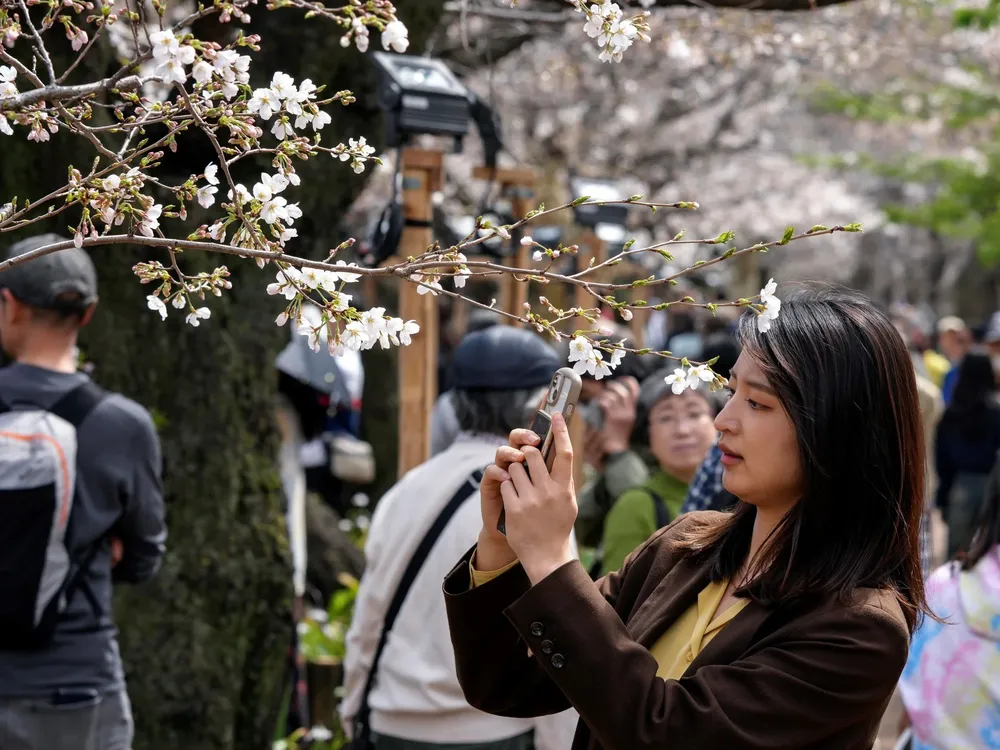 turismo en japon